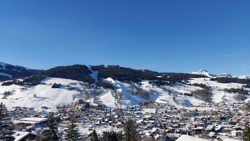 Lune D'Argent Appartement avec vue sur la montagne - 2