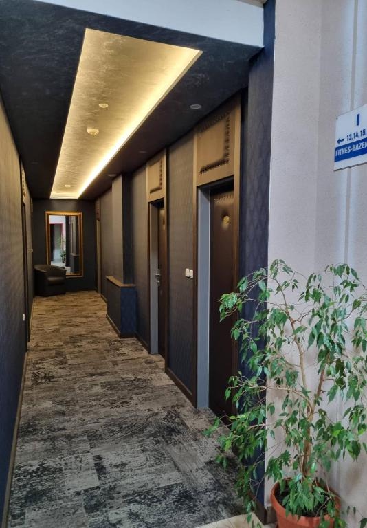 Motel Bor photo