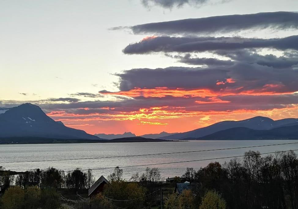Liten kjellerleilighet. Landlig rolig omrade. photo