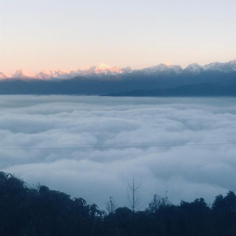Sunrise Point Homestay photo
