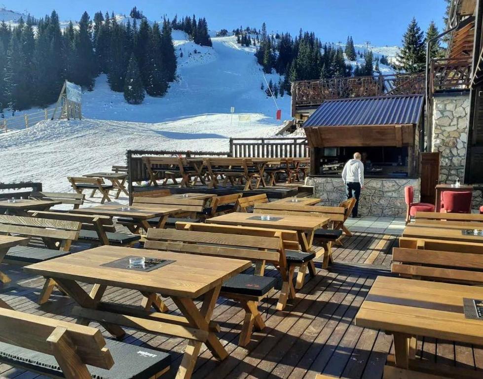 Pansion Zlatna Zita - 3