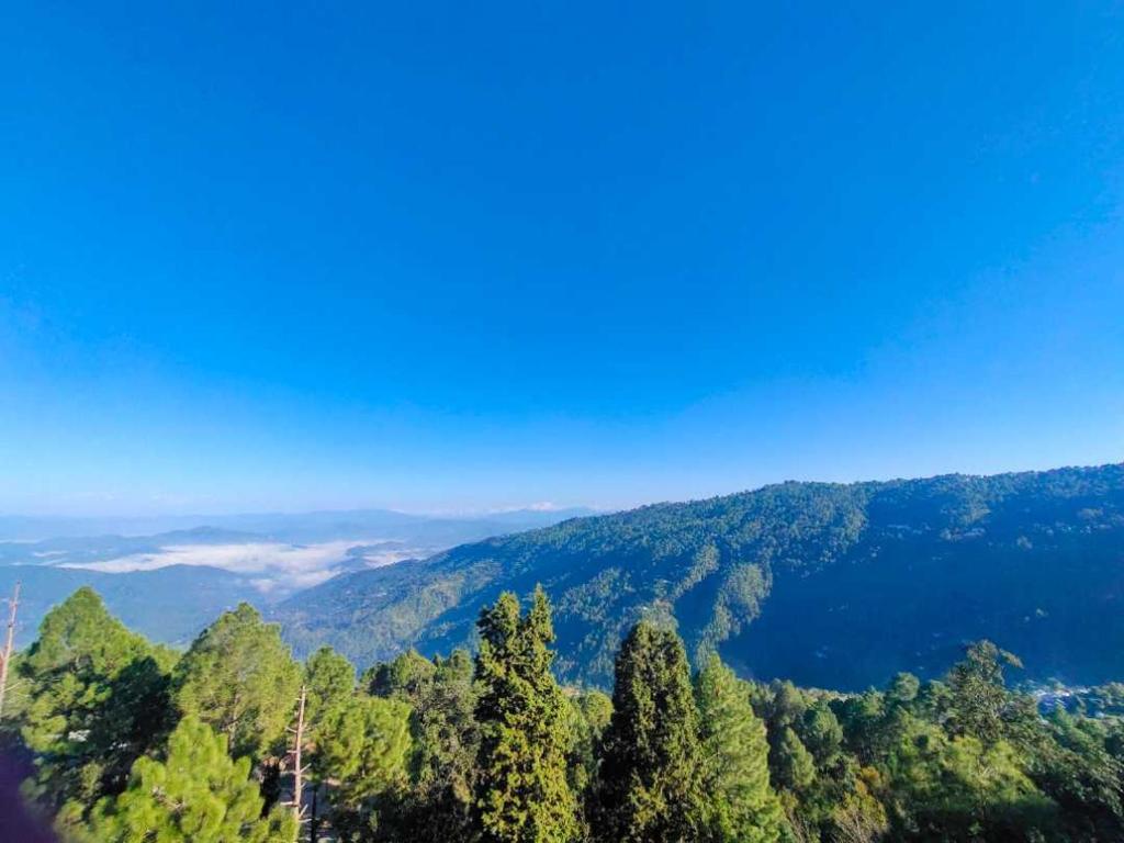 The Ranikhet Continental photo