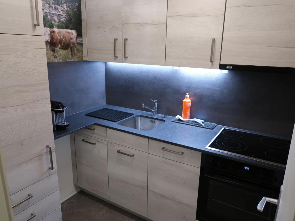 Apartment Ringstrasse Apt 213 by Interhome - 4