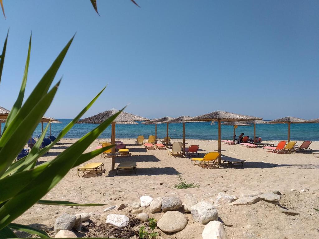Agali Hotel photo