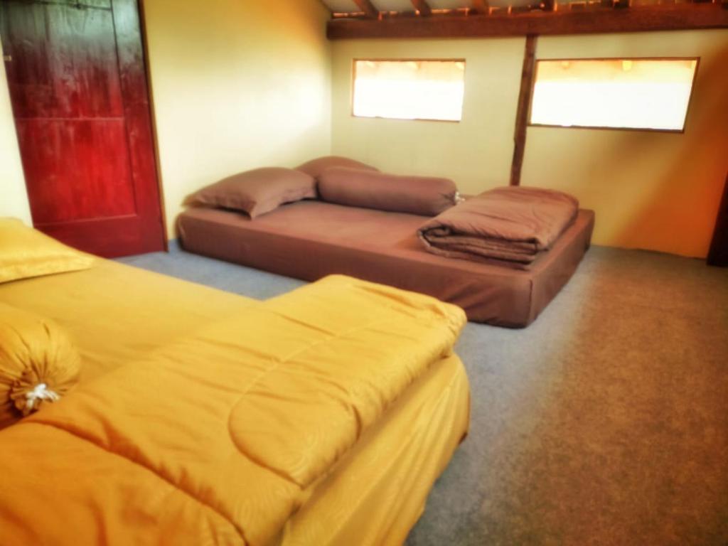 Avrila Ijen Guest House photo