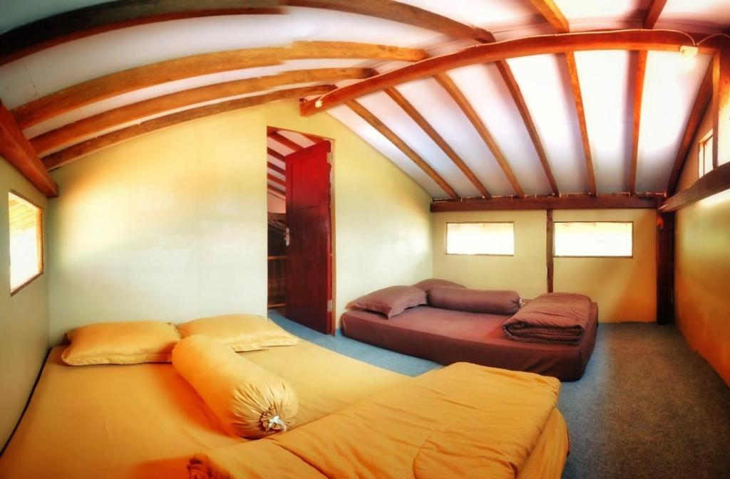 Avrila Ijen Guest House photo