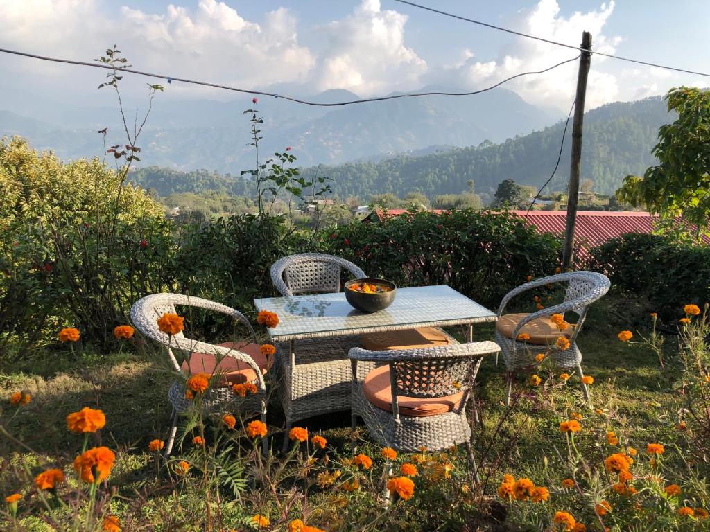 Joy Source Resort photo