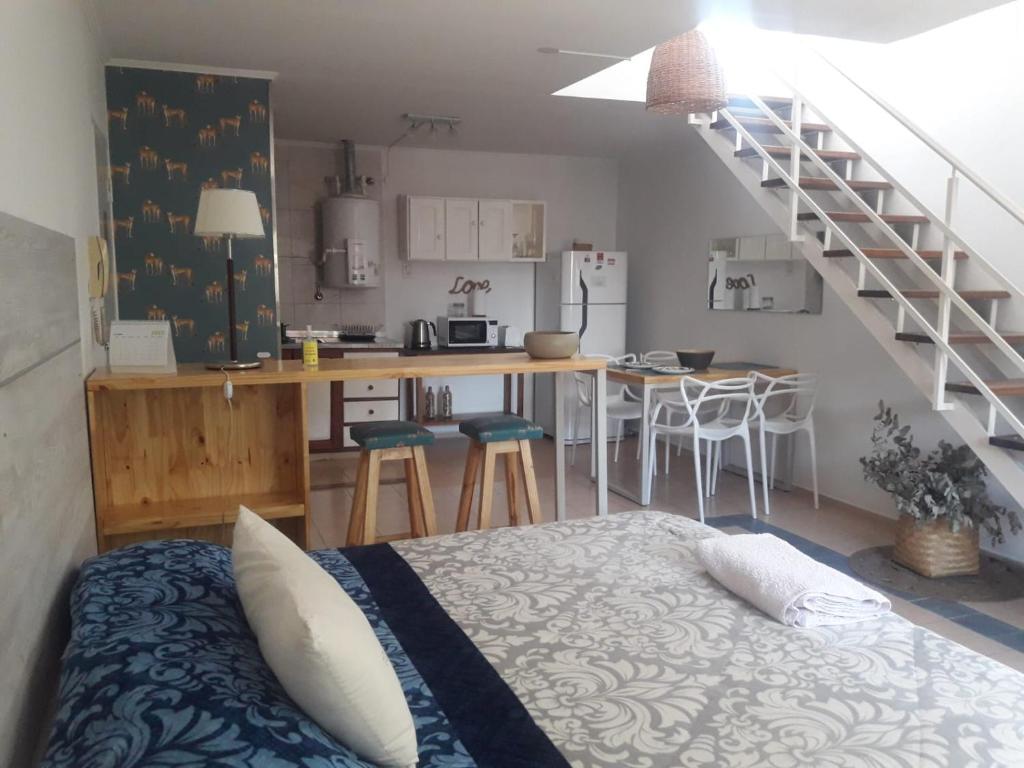 Monoambiente PANTER - 3