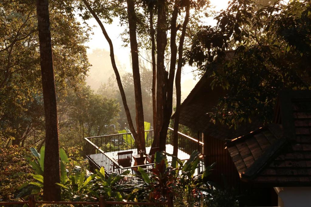 Vanilla hill (hill lodge) photo