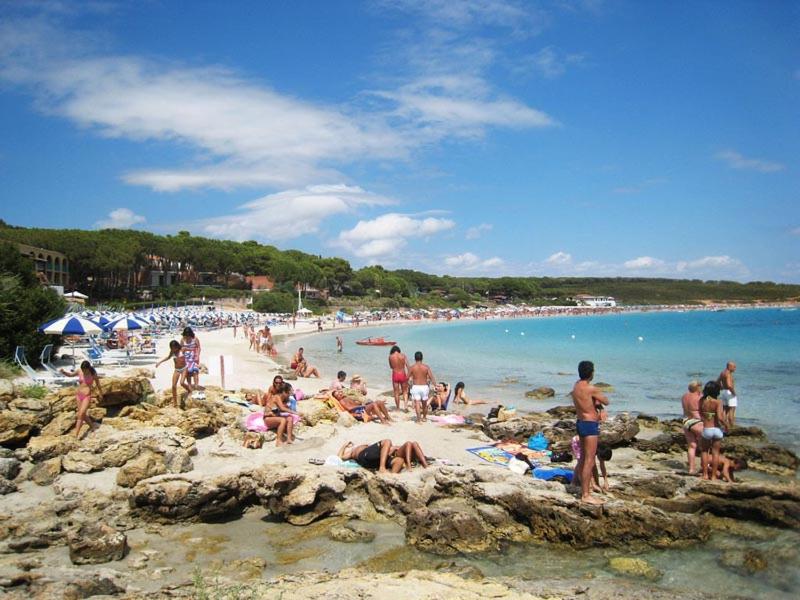 Arenosu Comfort Country Resort photo