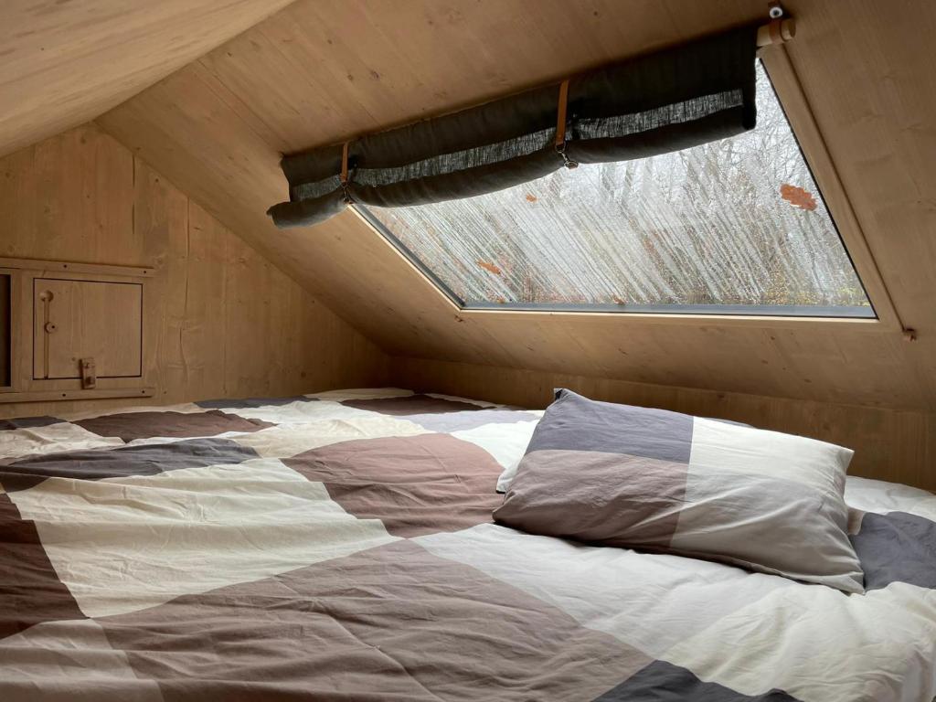 Ảnh 5