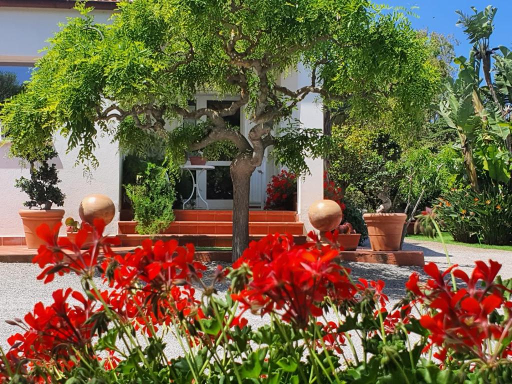Arenosu Comfort Country Resort — Hotel in Alghero