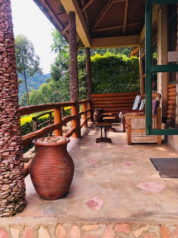 Bwindi Forest Lodge — Hotel in Kanungu