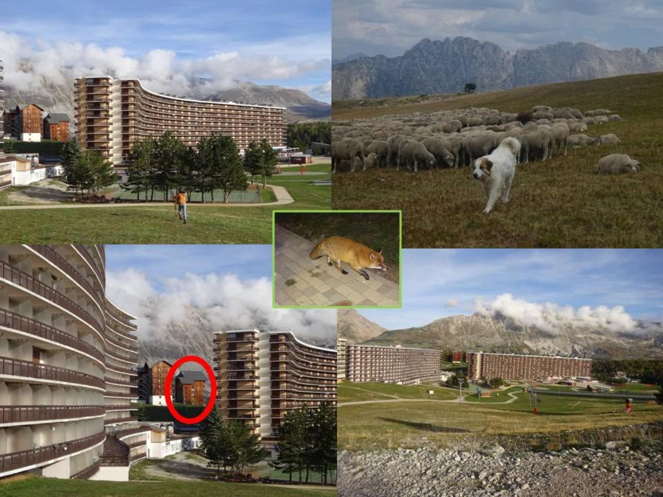 Appartement 8-10 personnes SUPERDEVOLUY Hautes Alpes REZ DE CHAUSSÉE Vue panoramique 3 CHAMBRES - 2