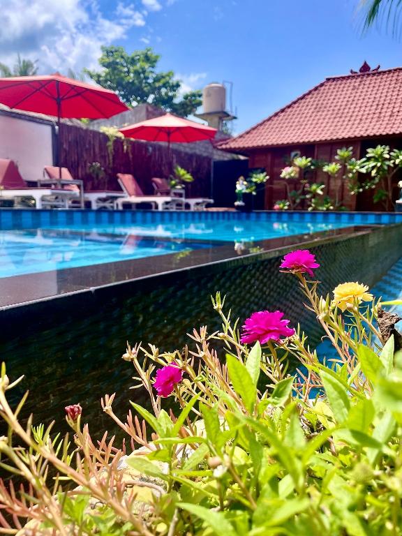 Lembongan Tropical Guesthouse photo