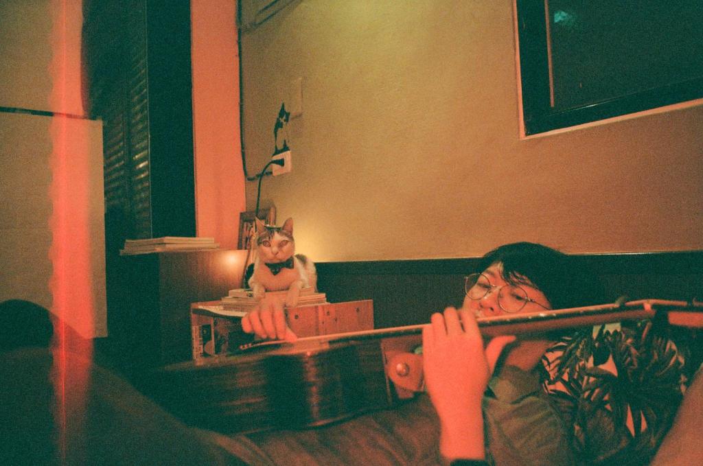 Lazy House photo