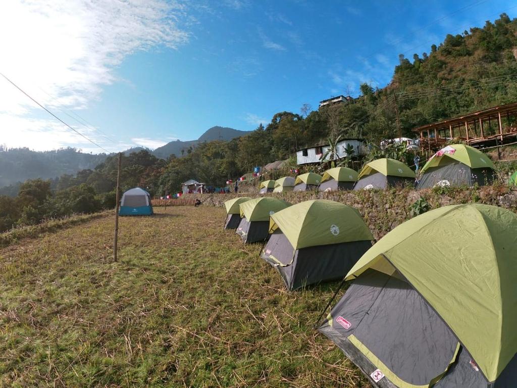 Camp Hornbill Nagaland — Hotel in Kohima