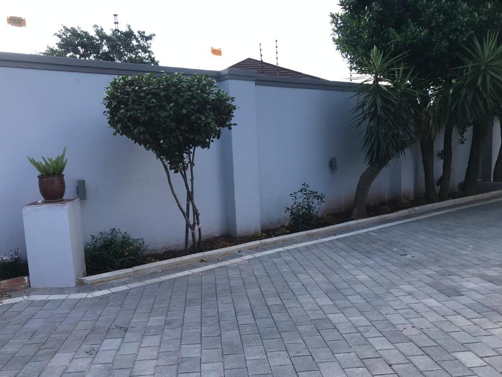 Aluve Guesthouse photo