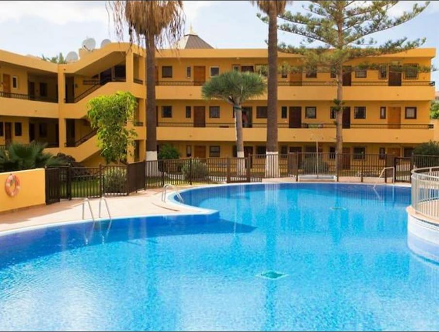 Studio in Torres del Sol Griffin near the beach - 4