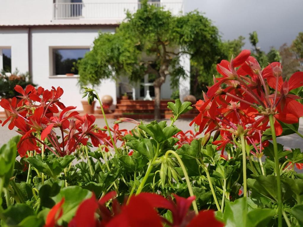 Arenosu Comfort Country Resort photo