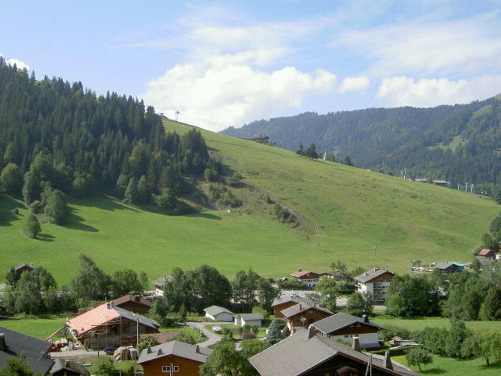La Clusaz - Appartement cosy 5 pers avec garage et vue sur montagnes - FR-1-437-21 - 2