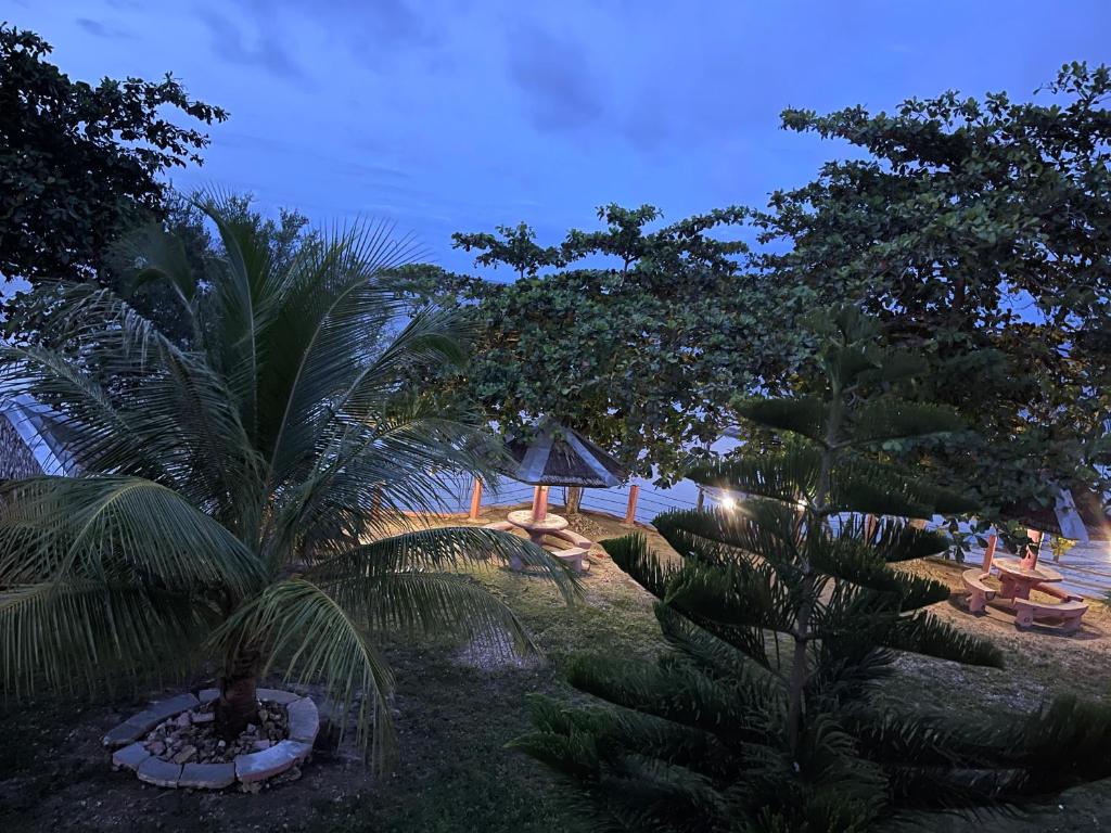 D's Oceanview Beach Resort photo