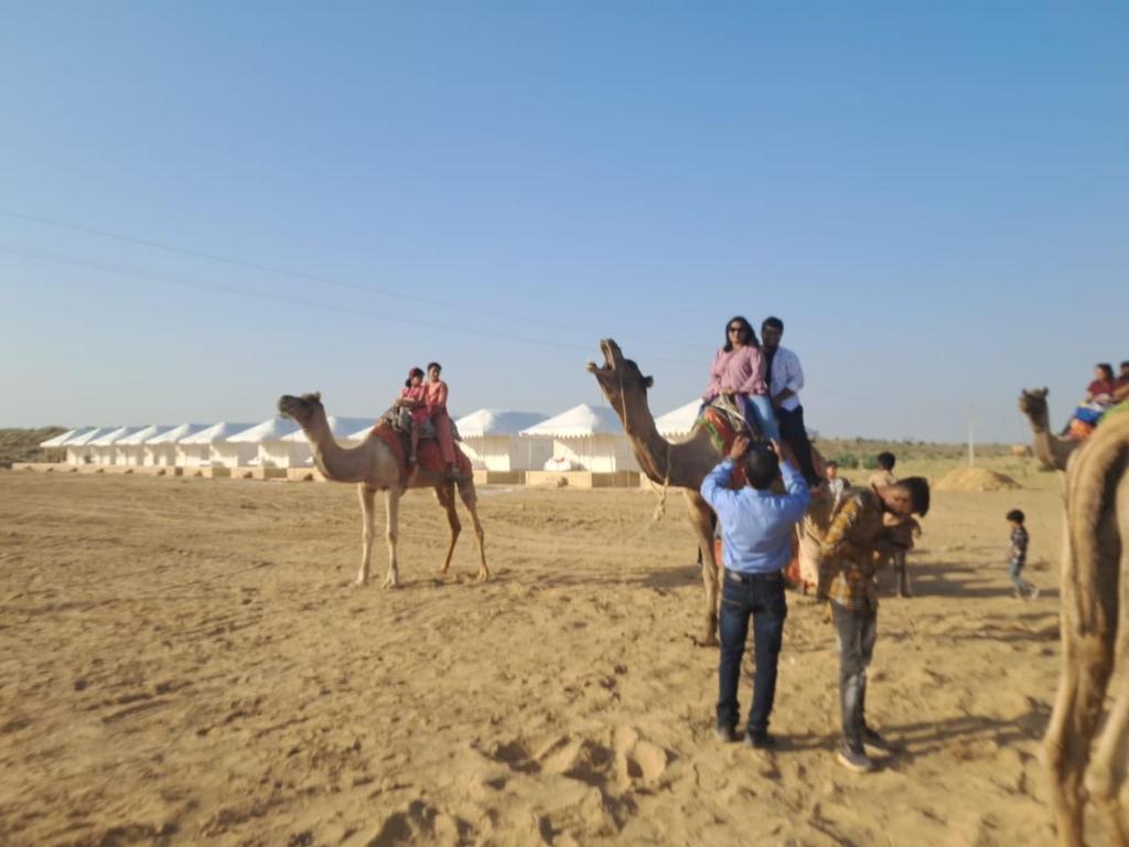 Samar Desert Camp photo