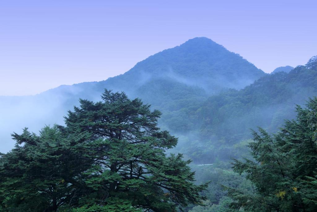 Surrounding environment
