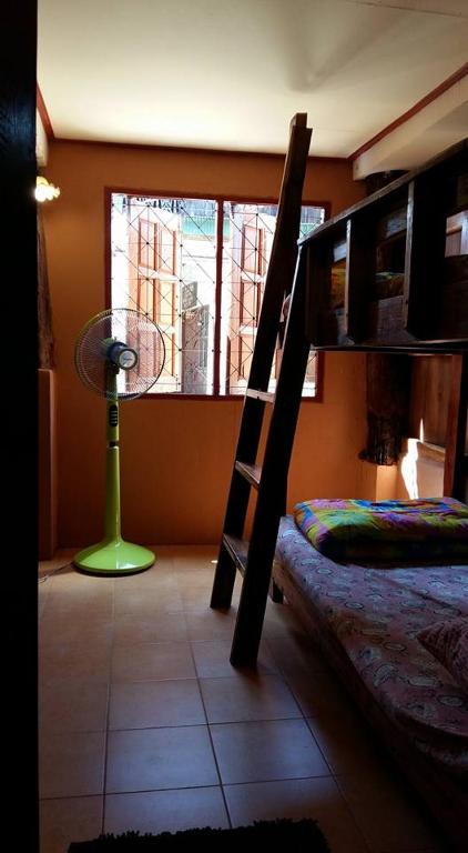 Cactus Hostel photo