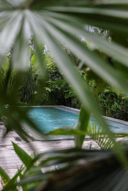 Surfing Temple Hotel Boutique photo