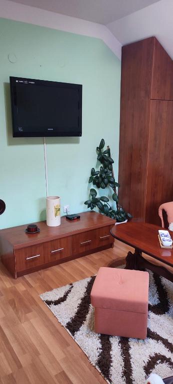 Apartman Sara Pale - Ski centar Ravna planina - mir, tišina, blizina Sarajeva - 5