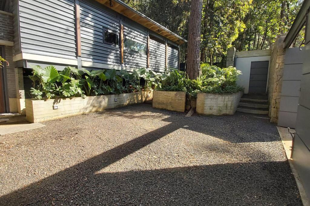Casa William en el bosque - 1