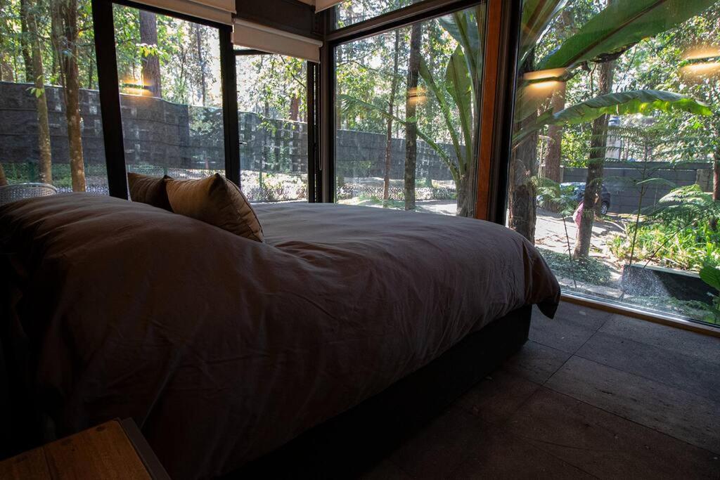 Casa William en el bosque - 4