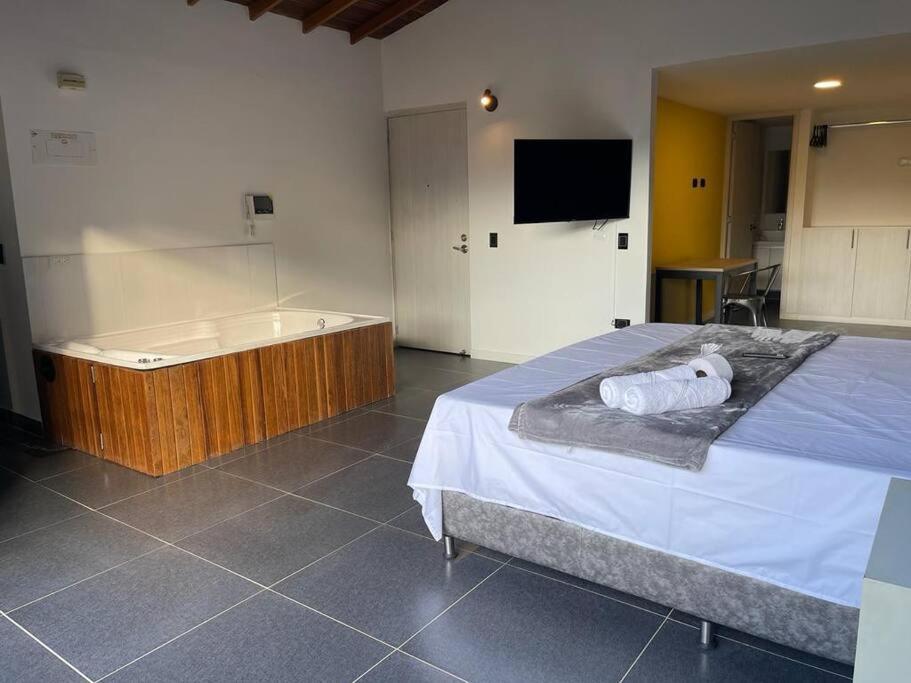 Hermoso loft con jacuzzi y balcon - 2