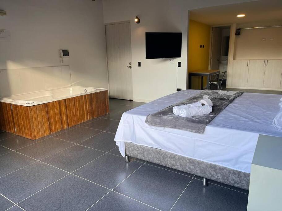 Hermoso loft con jacuzzi y balcon - 4