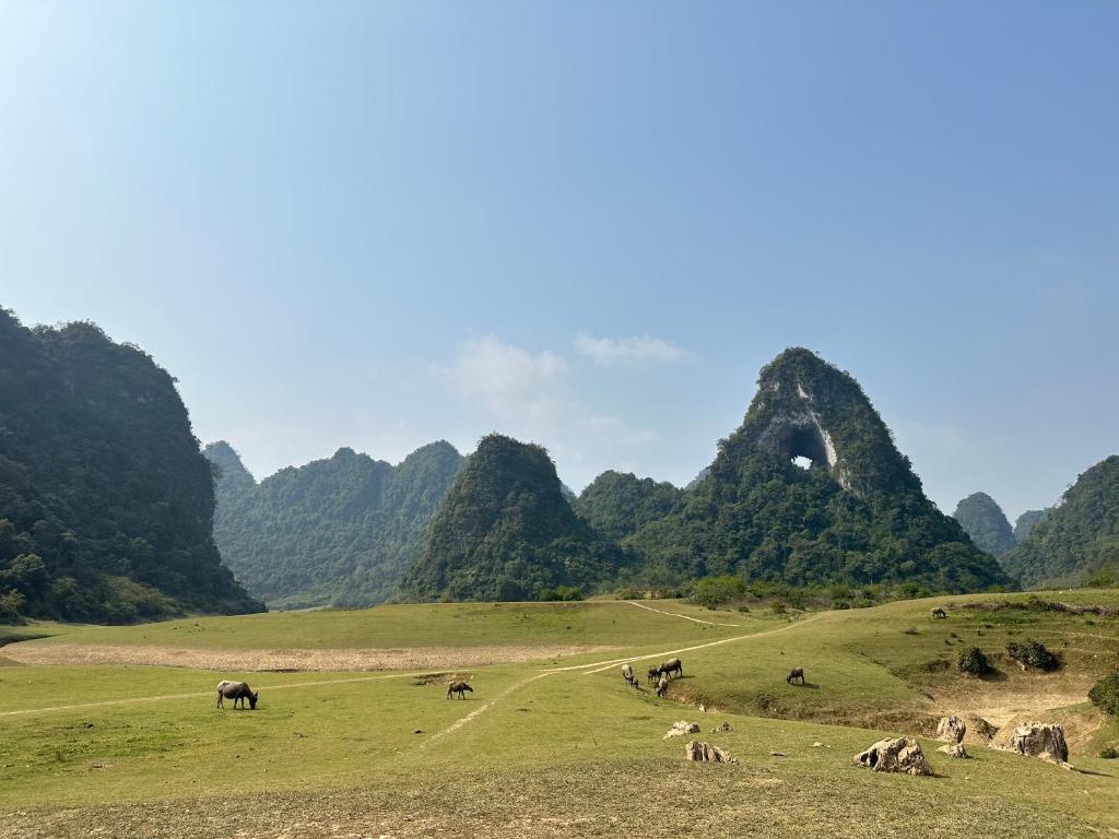 Khach san Hoang Trang photo