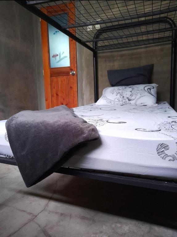 Duma Hostel photo