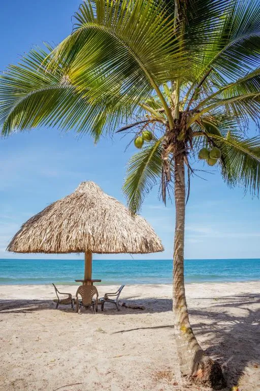 UUTTAAKA Eco-Hotel, hotel in Palomino
