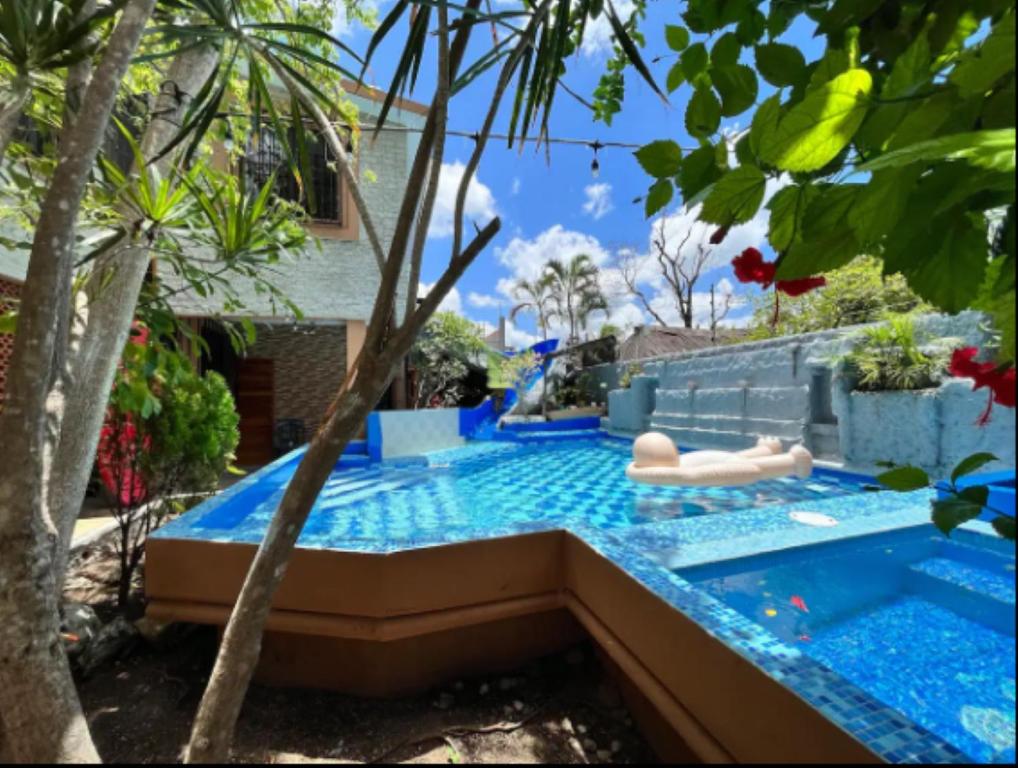 Casa Real Cozumel - 5
