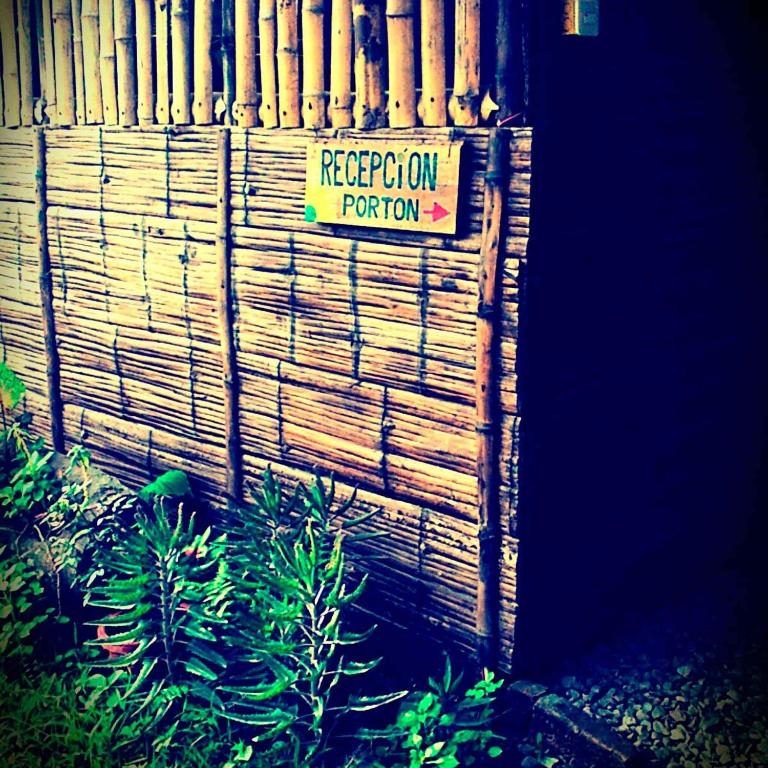 The Mudhouse Hostel Mompiche photo
