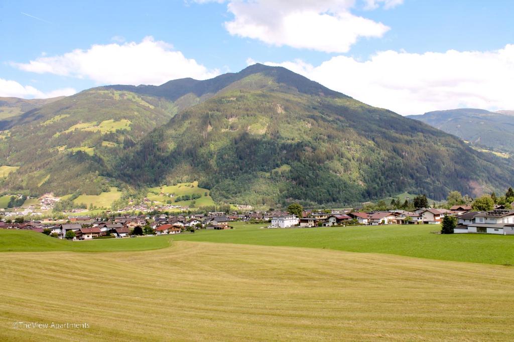 TheView Ahorn - 3