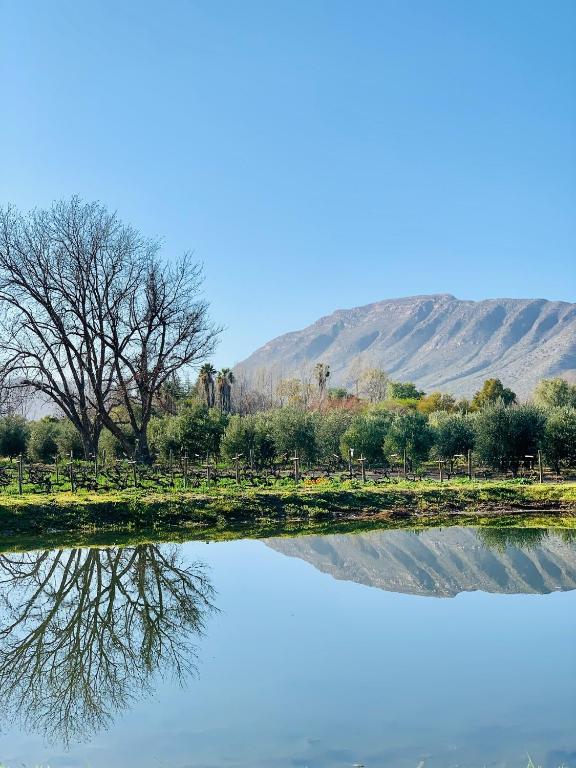 Vergeet-My-Niet, Prince Albert