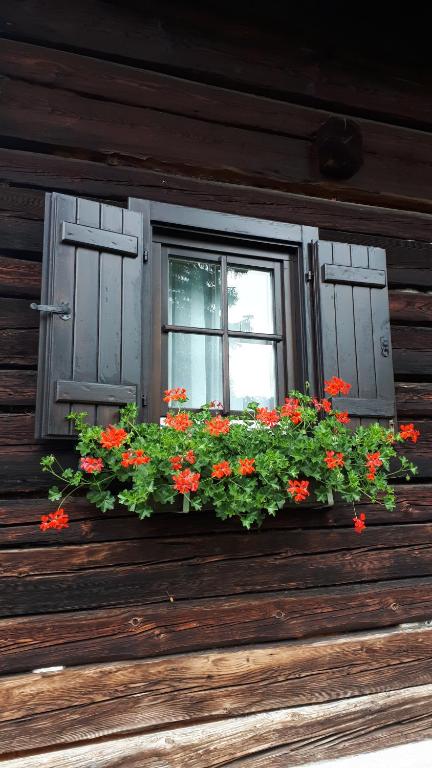 Fuggerhütte - 5