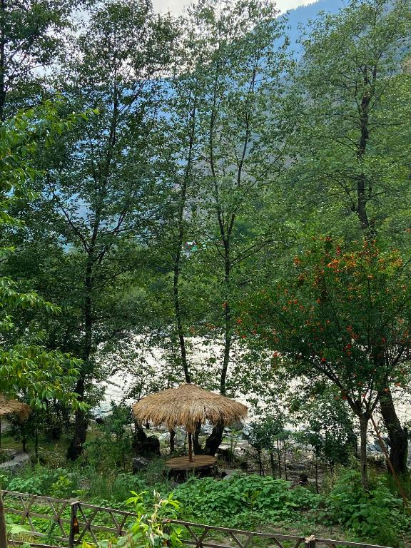 Aloha Riverside  周辺案内