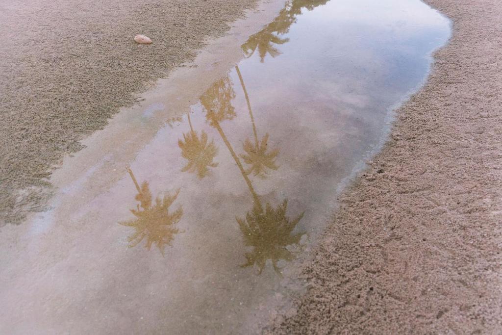 Surrounding environment
