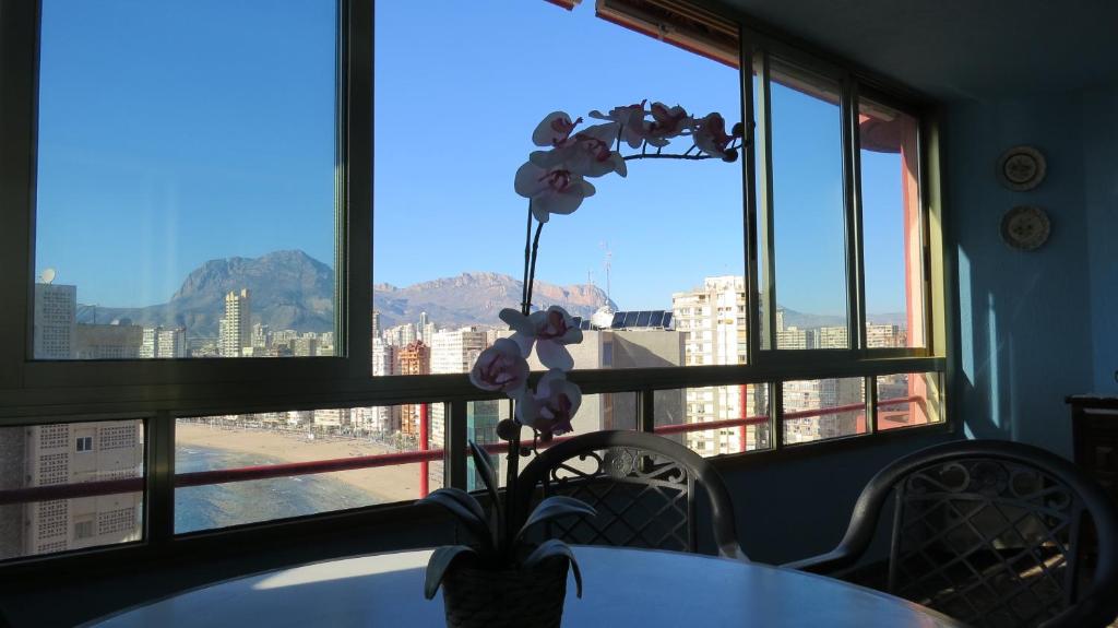 Apartment Alcalde Manuel Catalán Chana - 5