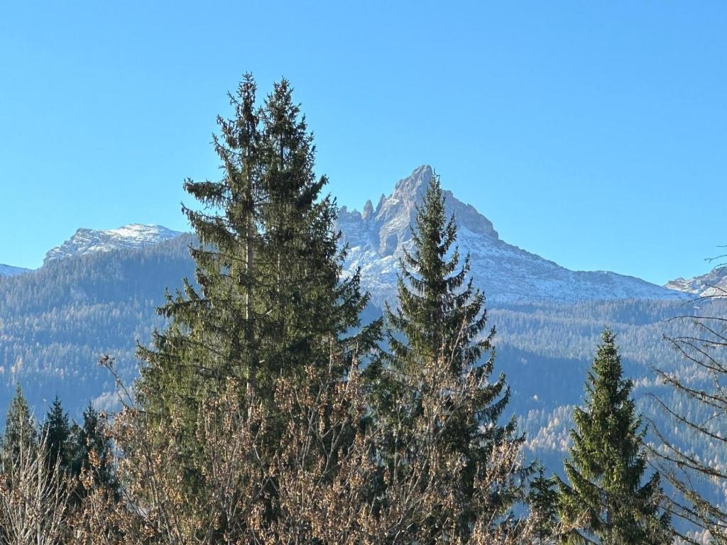 Hotel Serena Cortina photo