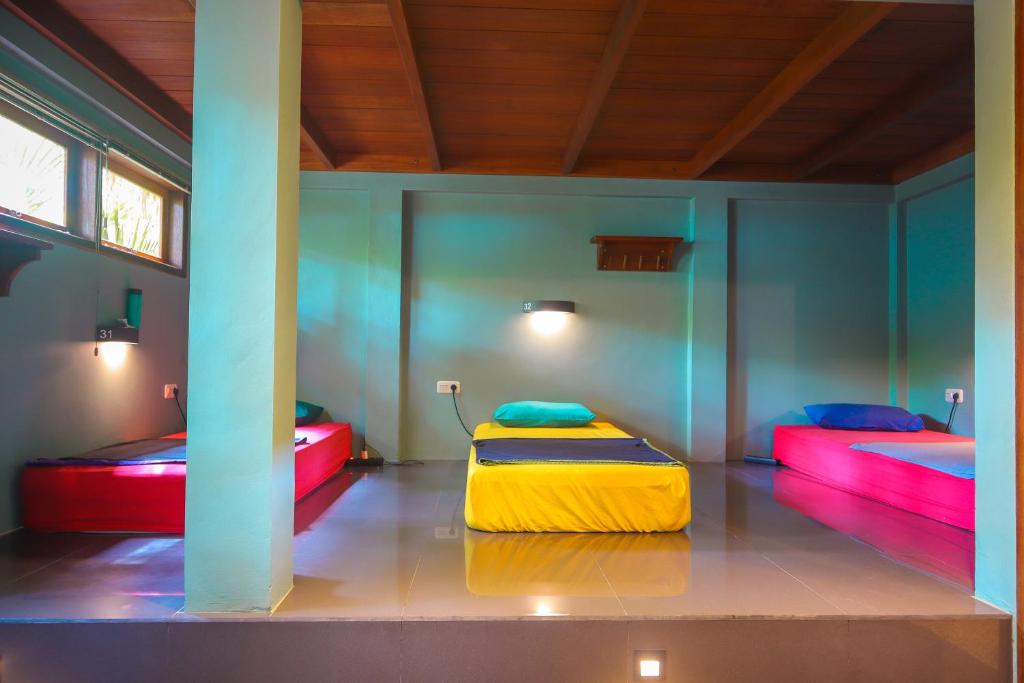 Pipes Hostel photo