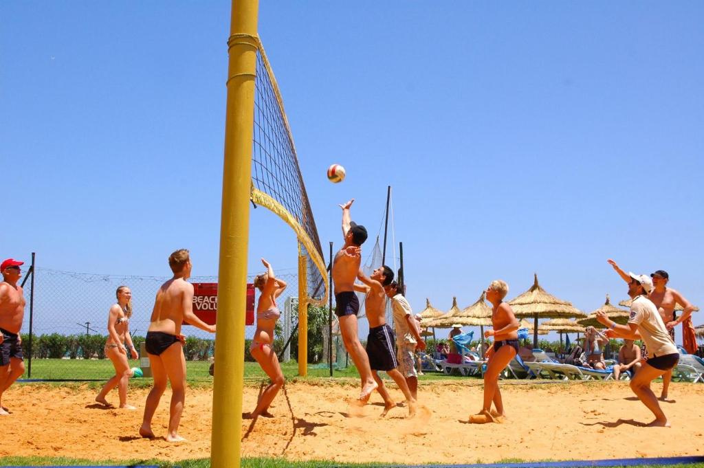 スポーツ/アクティビティ