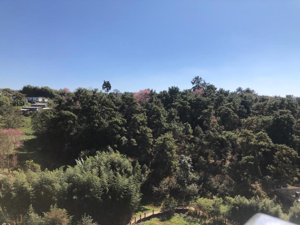 Pine Hill Comfort Stay photo